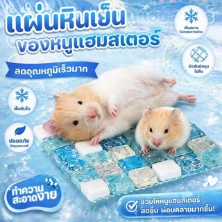 COD แผ่นหินเย็นของหนูแฮมสเตอร์ แผ่นคลายร้อนหนูแฮมสเตอร์ แผ่นเย็นสัตว์เลี้ยง ลดอุณหภูมิเร็ว ออกแบบมาสำหรับสัตว์เลี้ยง