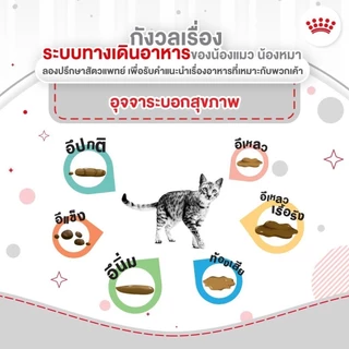 [ ยกกล่อง 12 ซอง ] Royal Canin Gastrointestinal อาหารแมวดูแลระบบทางเดินอาหาร 85g