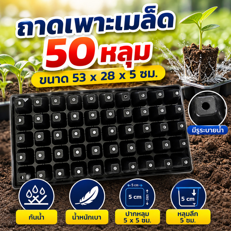 Seedling Tray ถาดเพาะเมล็ดพันธุ์ 50 หลุม (ขนาด 53 x 28 x 5 ซม.)
