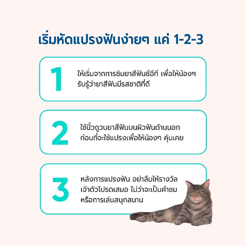 Virbac: C.E.T. Enzymatic Toothpaste [แท้💯] ยาสีฟัน สูตรเอ็นไซม์ธรรมชาติ สำหรับสุนัขและแมว 70g. [รวมทุกรส!] รูปที่ 3