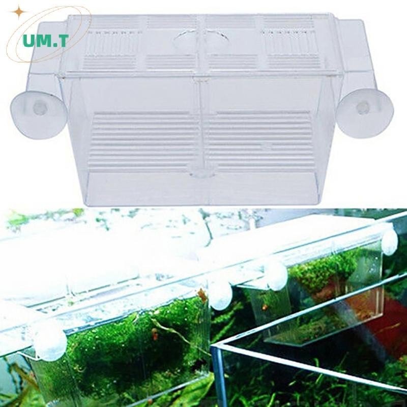 UM.T Aquarium Fish Tank Guppy Double Breeding Breeder Rearing Trap Box Hatchery