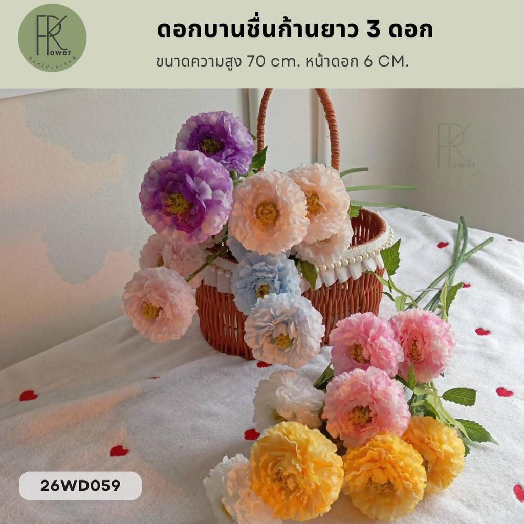 ดอกบานชื่นก้านยาว 3 ดอก  ขนาดความยาว 70 cm. หน้าดอก 6 cm.