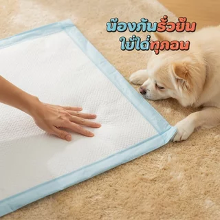 Oldlaiben แผ่นรองซับฉี่เด็กเย็น แผ่นเปลี่ยนผ้าอ้อมดูดซับไว ไม่ซึมกลับ ด้านนอกกันน้ำ กันเปื้อนเตียง ใช้แล้วทิ้ง พกพาสะดวก