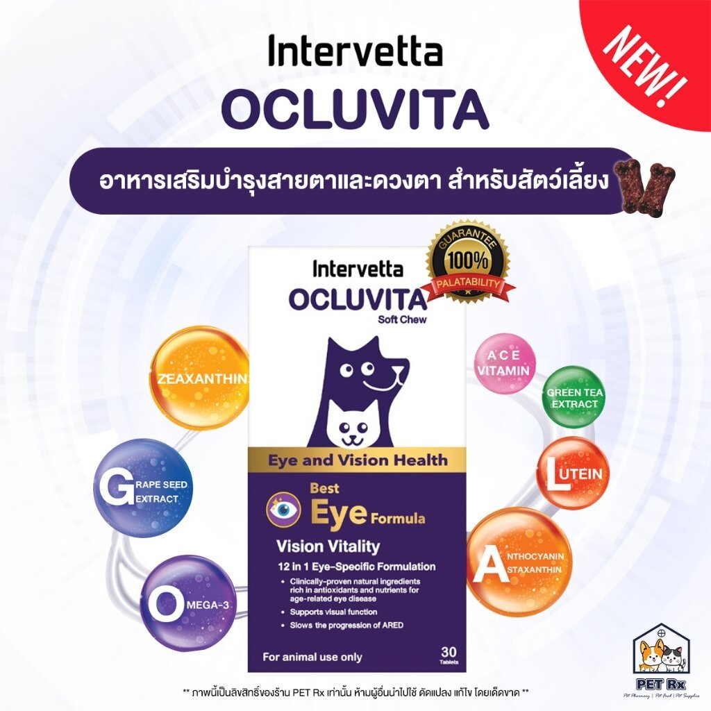 Ocluvita [แท้ ] อาหารเสริมเพื่อบำรุงสายตาและดวงตา สำหรับสุนัขและแมว ราคา ถูกที่สุด ดีลบีเคเค