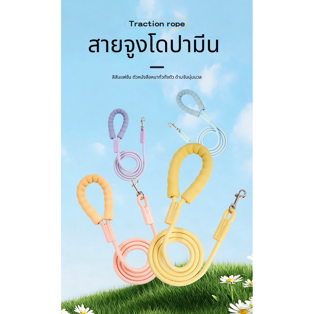 สายจูงสุนัขแบบโซ่สําหรับฝึกซ้อมป้องกันการดึงและประสานเสียงปรับได้เหมาะสําหรับทุกพันธุ์และรูปร่างร่างกายแข็งแรงทนทานควบคุมง่