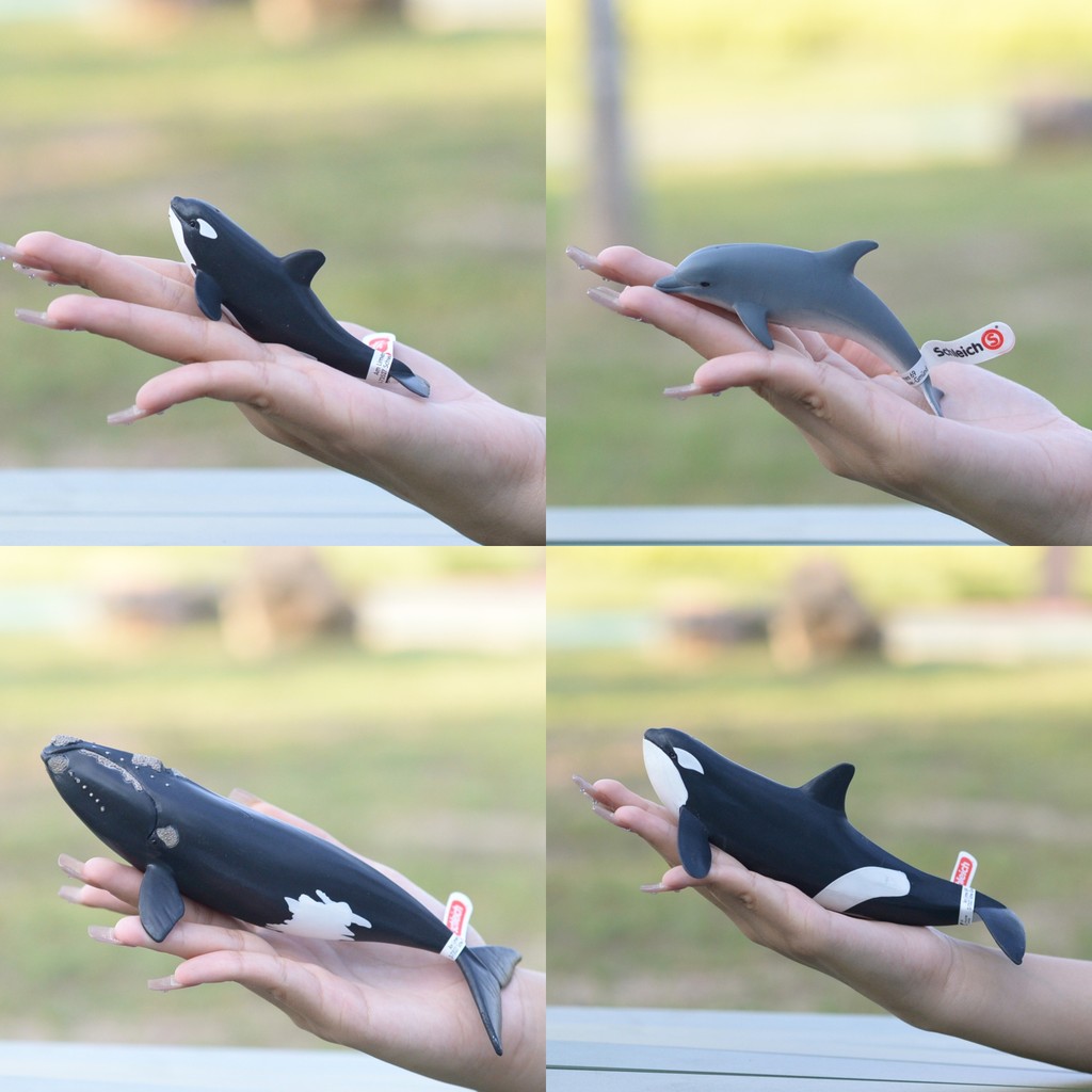 ของแท้เยอรมัน Schleich Schleich Ocean Series Little Dolphin Big Small Killer Whale Killer Whale Belu