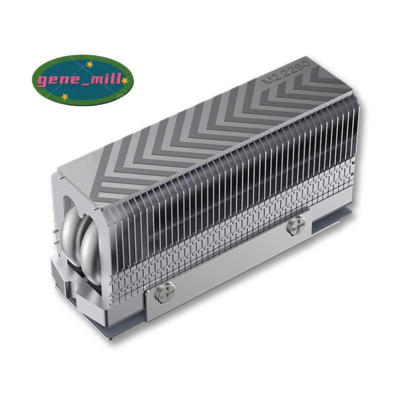 M.2 2280 NVMe SSD ความร้อน Cooler Dual ท่อความร้อนประสิทธิภาพสูงแผ่นความร้อนสําหรับ 2280 SSD PC คอมพ