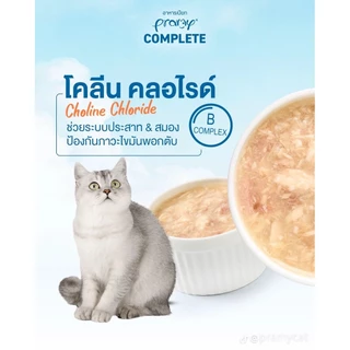 PRAMYอาหารเปียกแมว ยกโหล 12ซอง (พรามี่) อาหารเปียกเติมวิตามิน สุขภาพดี