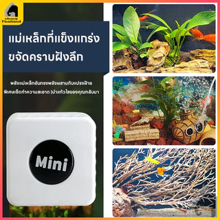 แม่เหล็กขัดตู้ปลา ขนาดเล็ก แปรงแม่เหล็ก ไซส์ สำหรับกระจกหนา 3-8mm แปรงแม่เหล็กทำความสะอาดตู้ปลา