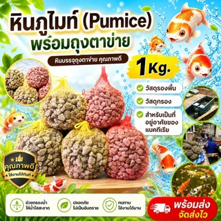 หินภูเขาไฟ 1 kg. หินกรองน้ำ พร้อมถุงตาข่าย เกรดA ฝุ่นน้อย วัสดุกรองตู้ปลา หรือใช้รองพื้นกระถางต้นไม้ ขนาดเม็ด 2-4cm.
