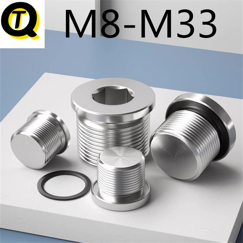 304 สแตนเลสสตีลหกเหลี่ยมซ็อกเก็ต ED แหวนซีลปลั๊ก (พร้อมสต็อก M8M10M12M14M16M18M20) พร้อมขอบหน้าแปลนป