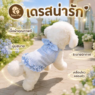 🐱🐕เสื้อสุนัขพันธ์ุเล็ก เสื้อแมวน่ารัก เสื้อผ้าสัตว์เลี้ยงเย็น กระโปรงลายตาราง ผ้าระบายอากาศได้ดี