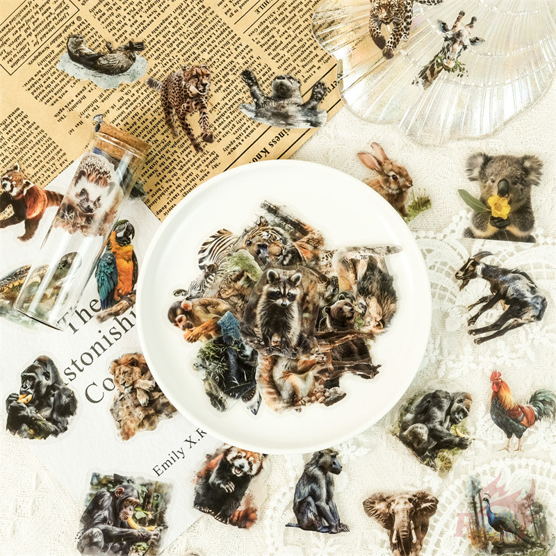 ❉ 3D Realistic Nature African Animals Series 03 สติ๊กเกอร์ PET ❉ 50 ชิ้น/เซ็ต DIY แฟชั่นสติ๊กเกอร์กันน้ํา Doodle สติ๊กเกอร์