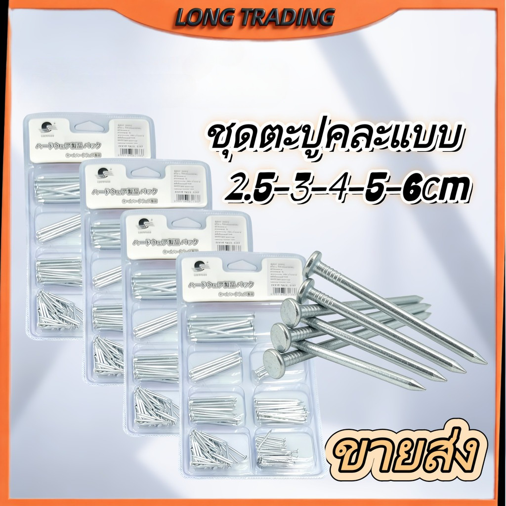 (ยกโหล)ชุดตะปูคละแบบ อุปกรณ์การช่าง พกพาสะดวก พร้อมส่งL-1133