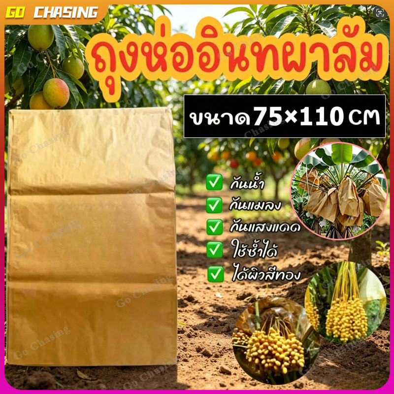 75*110 ซม กระดาษห่อผลไม้ ขนาด 10 ใบ กล้วยหอม ถุงห่ออินทผลัม กระดาษห่ออินทผาลัม กันแมลง เพื่อผลสวยงาม
