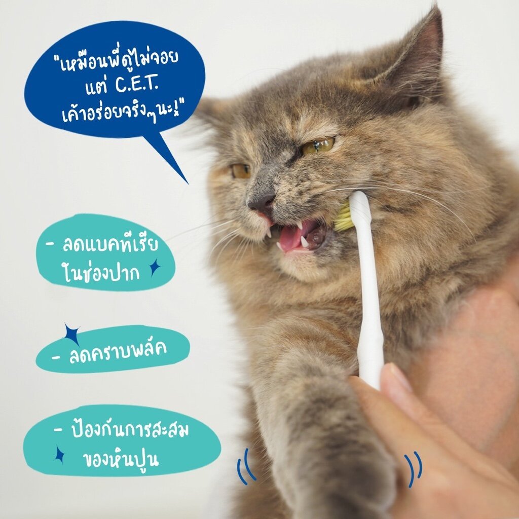 Virbac: C.E.T. Enzymatic Toothpaste [แท้💯] ยาสีฟัน สูตรเอ็นไซม์ธรรมชาติ สำหรับสุนัขและแมว 70g. [รวมทุกรส!] รูปที่ 2