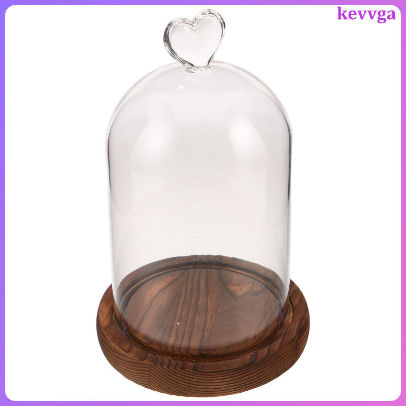 Vintage Glass Dome พร้อมฐานไม้ Clear Show Case Cloche สําหรับตกแต่งบ้านและจอแสดงผล kevvga