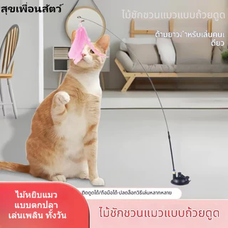 🐱 ไม้ล่อแมวแบบดูดแรง มีขนนกและกระดิ่ง หัวเปลี่ยนได้ ยาวพิเศษ ของเล่นแมวคลายเบื่อ พร้อมส่ง เพิ่มความใกล้ชิด