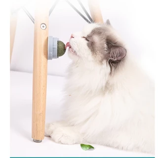 Mango ลูกบอลกัญชาแมว ติดกำแพงได้ ไม่กลิ้งหาย catnip ball แคทนิปแมว หญ้าแมว ของเล่นแมว ลดคราบหินปูน สําหรับสัตว์เลี้ยง