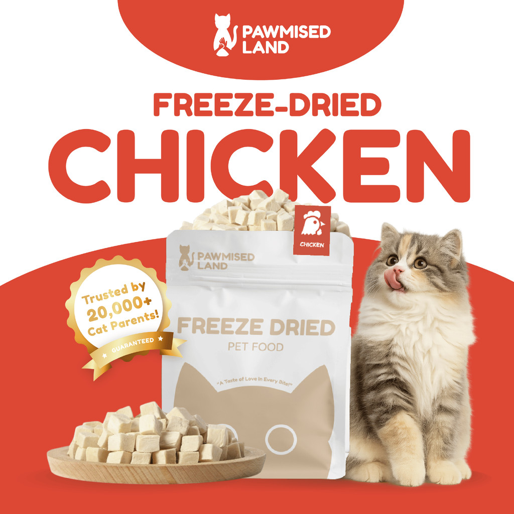 PawmisedLand Catty Munchies - Chicken Freeze Dry 125g/375g Premium Treats อาหารแมว Makan Kucing