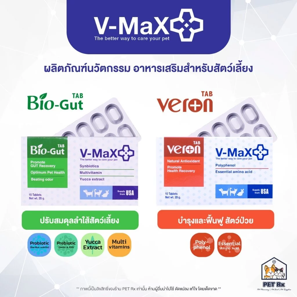 V-MaX : Bio-Gut / Veron [แท้💯] นวัตกรรมอาหารเสริม ปรับสมดุลทางเดินอาหาร / บำรุงและฟื้นฟูสัตว์ป่วย สำหรับสัตว์เลี้ยง