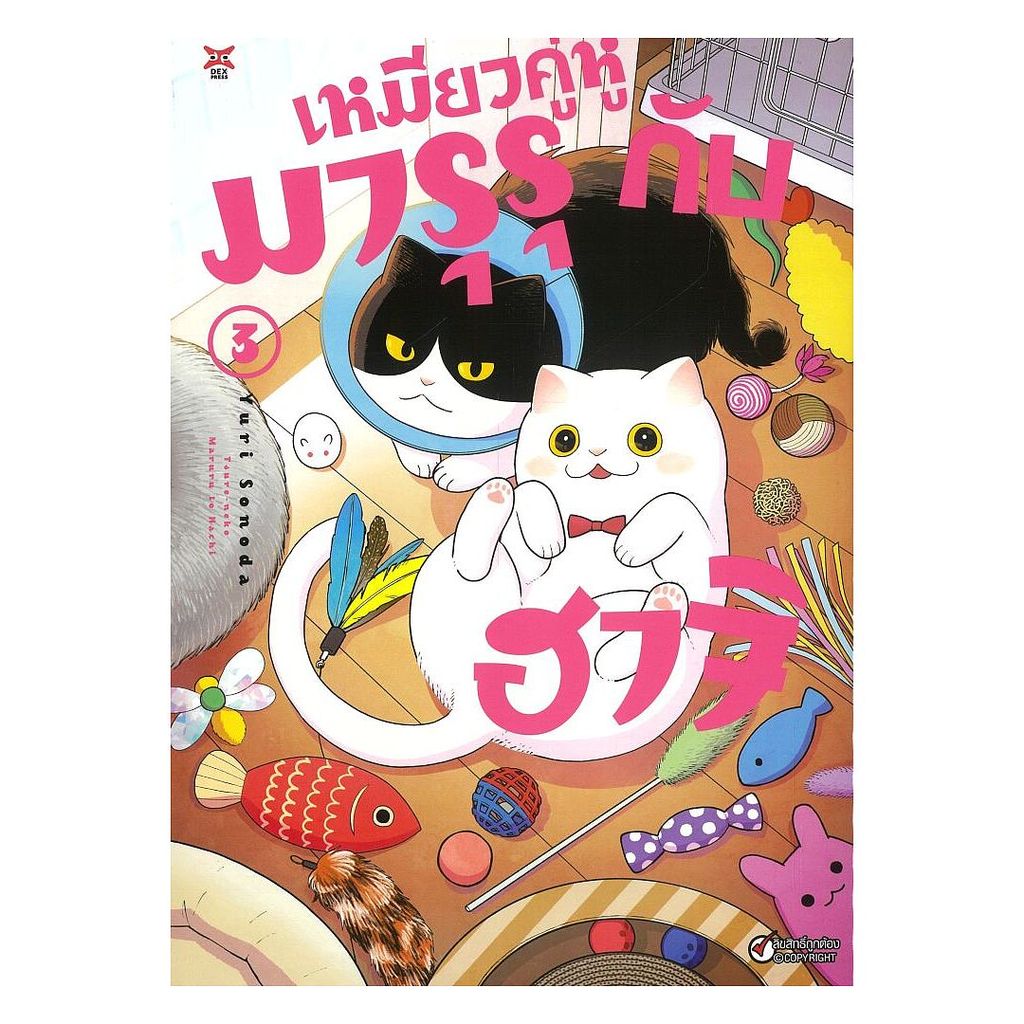 นายอินทร์ หนังสือ เหมียวคู่หู มารุรุกับฮาจิ เล่ม 3