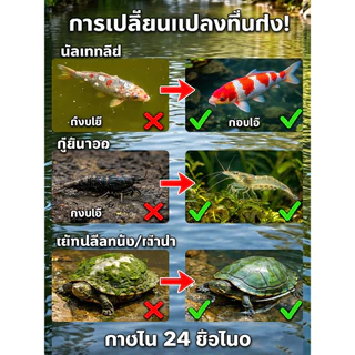 🔥 ซื้อ1แถม1 ✨ ทำความสะอาดล้ำลึก ขจัดคราบฝังแน่น ไวและแรง ประหยัดเวลา ใช้งานง่าย ไม่เหลือคราบ ปลอดภัย ฆ่าเชื้อโรค 1 นาทีมหัศจรรย์ น้ำยาทำความสะอาดประสิทธิภาพสูง สูตรเข้มข้น ใช้ได้ทุกพื้นผิว
