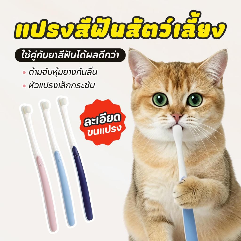 แปรงสีฟันขนนุ่มสําหรับสัตว์เลี้ยง🔥แปรงสีฟันแมว ขจัดคราบหินปูน ไม่บาดเหงือก แปรงสีฟันสําหรับสัตว์เลี้ยง