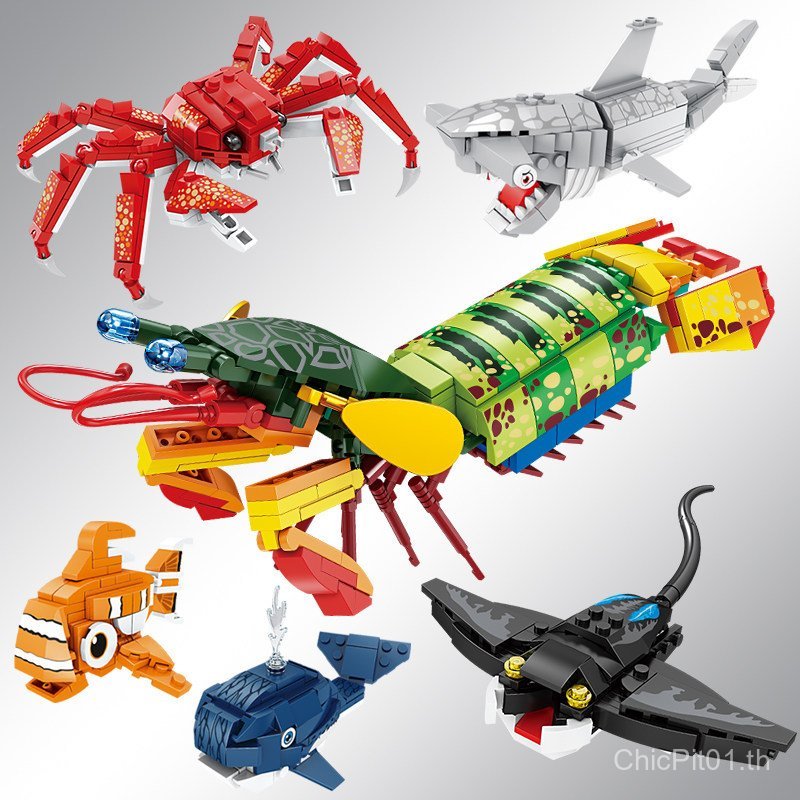 Kaizhi บล็อกตัวต่อสัตว์ทะเลเด็กประกอบทางปัญญา King Crab Boy ประกอบของเล่นโมเดลฉลามกุ้งก้ามกราม