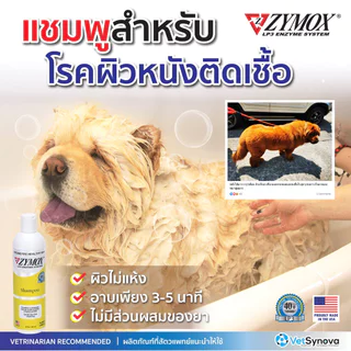 Zymox [แท้💯] แชมพูและครีมนวดสำหรับโรคผิวหนังติดเชื้อ แบคทีเรีย เชื้อรา ยีสต์ โรคผิวหนัง 355 ml.