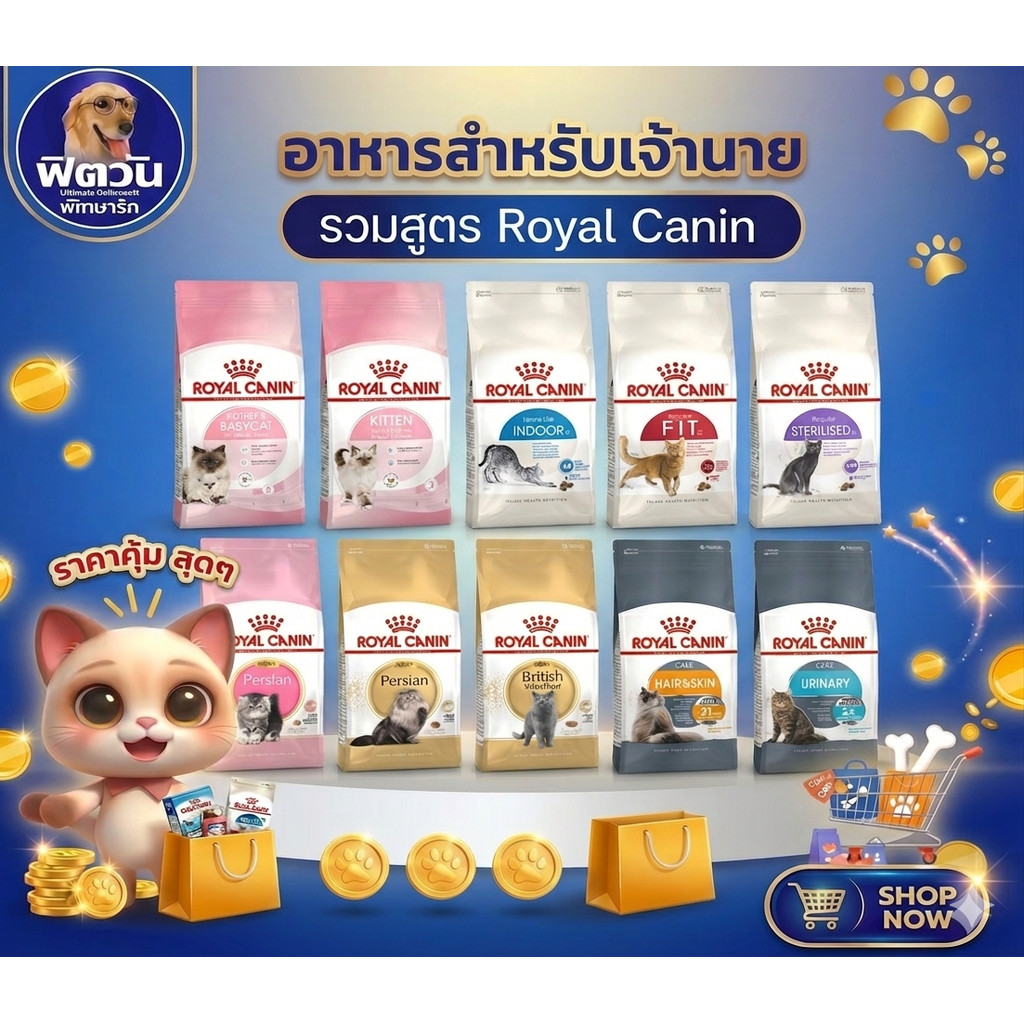 Royal canin เม็ดแมว รอยัลคานิน อาหารเม็ดสำหรับแมว ขนาด 10