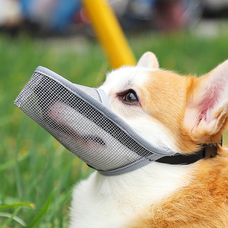 ตะกร้อสุนัข Anti-Bite Barking สุ่มกิน Large-Scale Dog Muzzle Teddy Golden Retriever Mouth Muzzle Muz