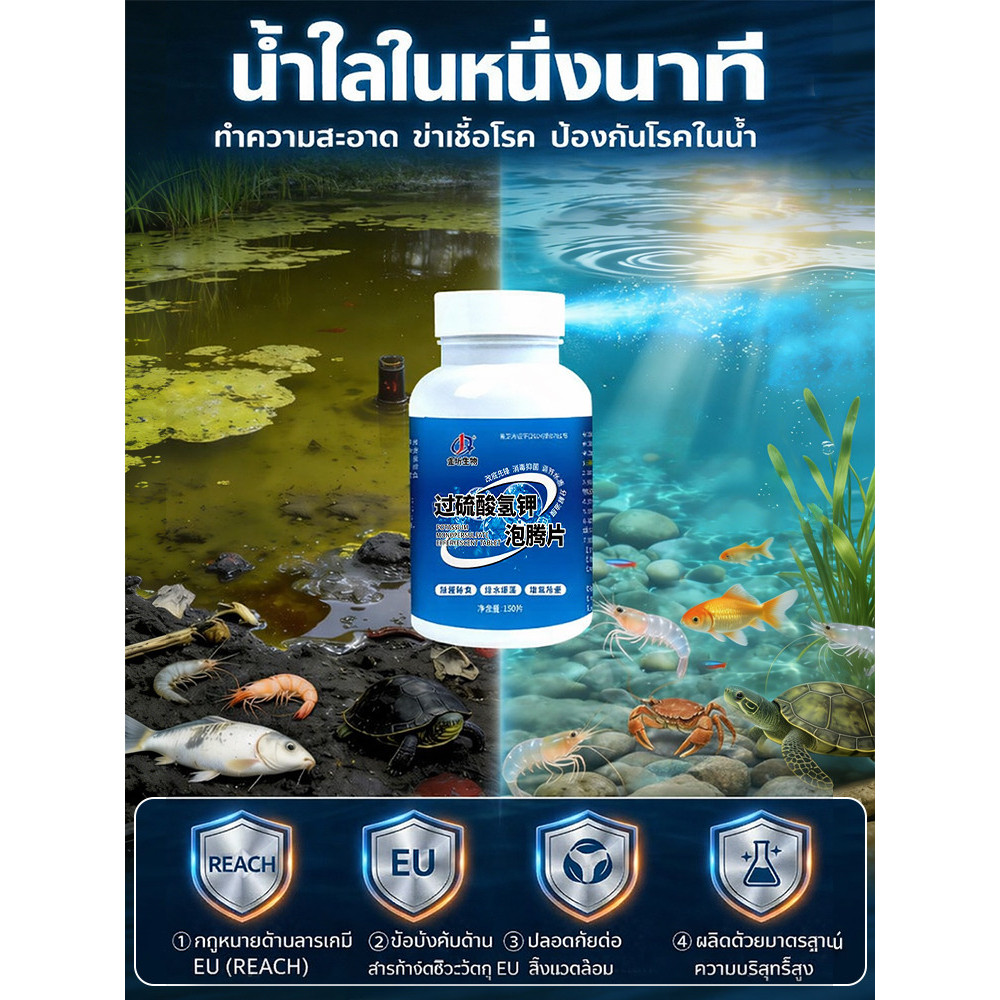 💥ทำน้ำสะอาด เม็ดฟู่/สารฆ่าเชื้อสำหรับตู้ปลา/ผลิตภัณฑ์เสริมประสิทธิภาพการทำความสะอาด/ยับยั้งเชื้อโรค ปรับน้ำใส ลดกลิ่นเหม็น/ใช้งานง่าย ประหยัดเวลา