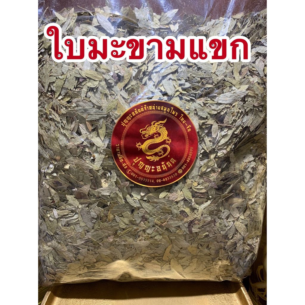ใบมะขามแขก ใบมะขามแขกสวยๆ500กรัม50บาท