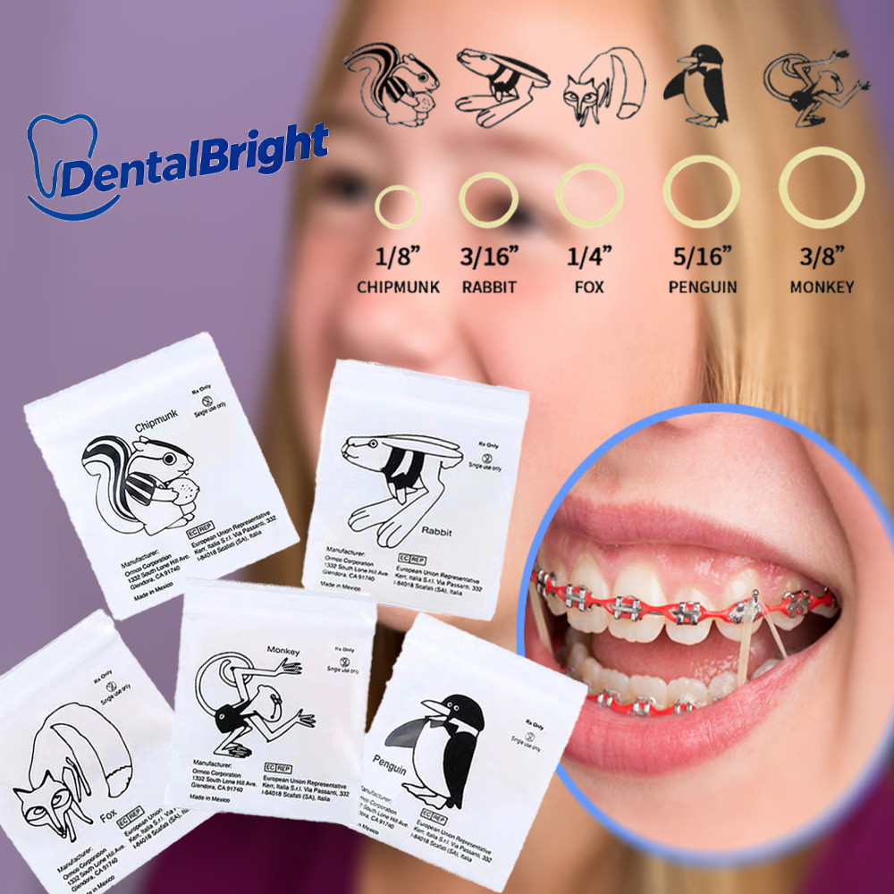 500pcs/bag Dental Orthodontic Rubber Bands Ortho Elastics Rings Latex for Teeth Braces Non-toxic Tool 3.5OZ tooth