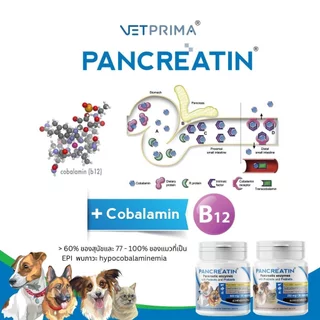 Pancreatin [แท้💯] ผลิตภัณฑ์เอ็นไซม์เสริมอาหาร สำหรับสุนัขและแมวที่มีภาวะตับอ่อนอักเสบ (แพนครีเอทิน) 30 แคปซูล (LYPEX)