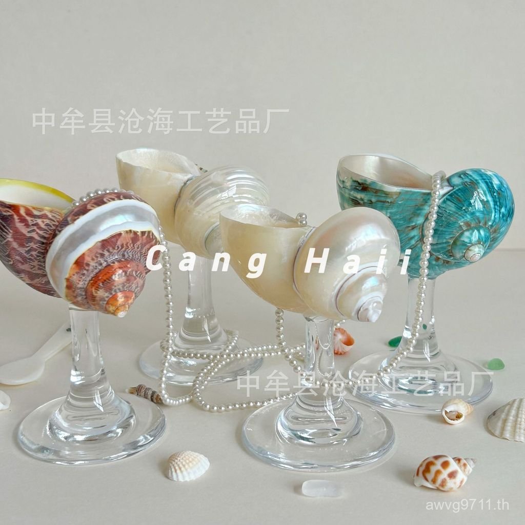 Conch ทําจากเปลือกหอยธรรมชาติขัดแก้วไวน์เปลือกขนาดเล็กขัด Creative Goblet Conch 5BXG