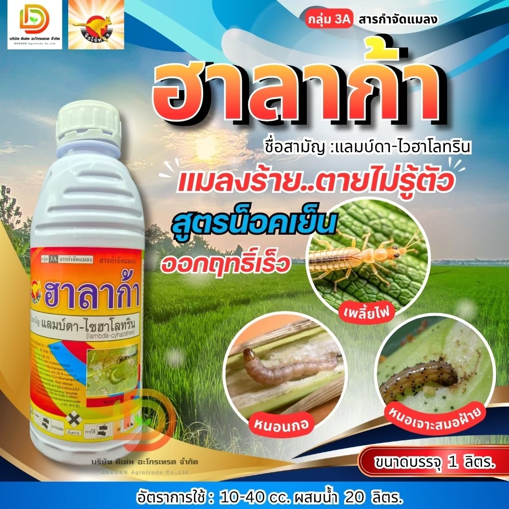 ฮาลาก้า แลมบ์ดา-ไซฮาโลทริน ขนาด 1 ลิตร สารกำจัดแมลงศัตรูพืช น็อกหนอน  ตราจิงโจ้ทอง