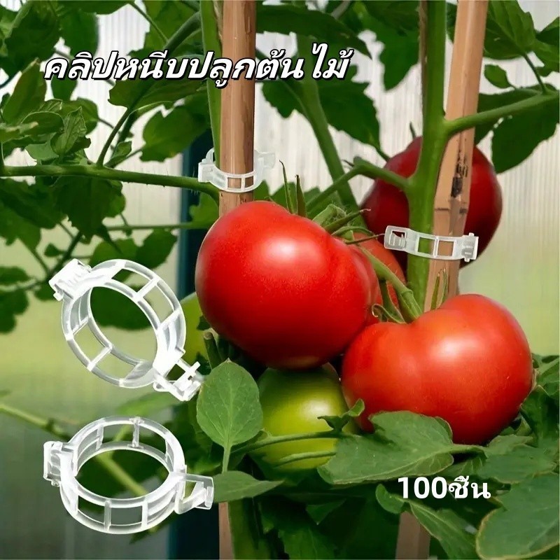 BLIVO คลิปหนีบปลูกต้นไม้ คลิปหนีบต้นไม้มะเขือเทศ รัดกิ่ง แหวนรัดกิ่ง เทปรัดกิ่ง สามารถนำกลับมาใช้ใหม่ได้
