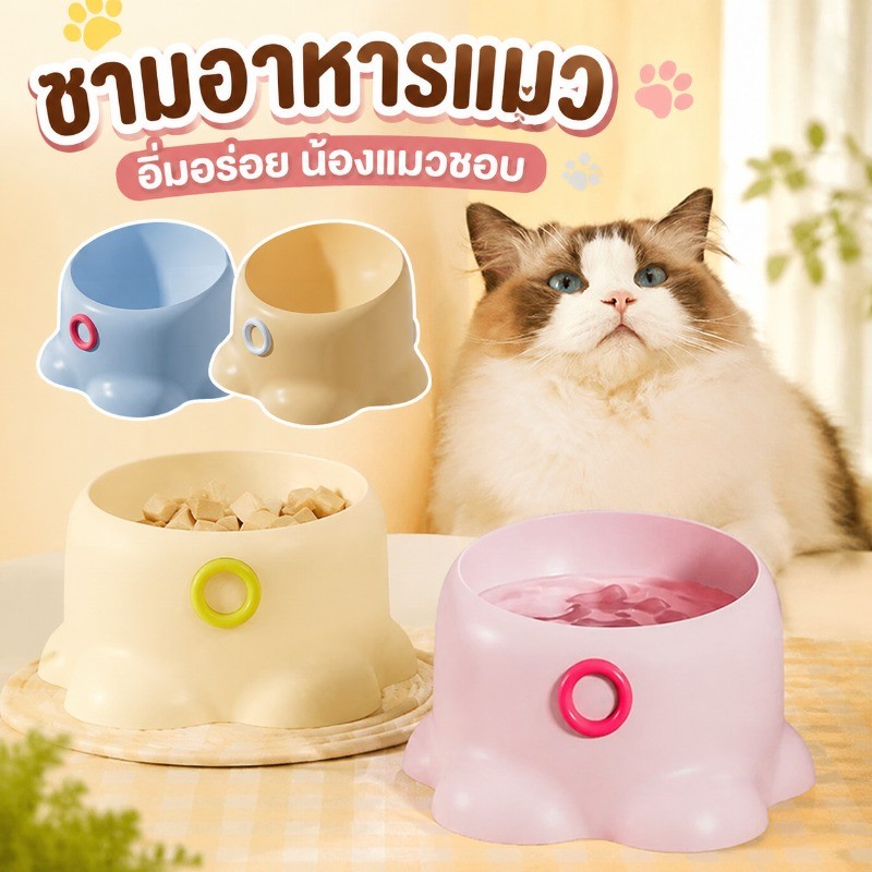 ที่ใส่อาหารสัตว์เลี้ยง ชามอาหารหมา ชามอาหารแมว อุปกรณ์ให้อาหารสัตว์ เอียง 15 องศา