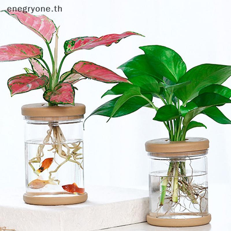 EOTH Lazy Transparent Flowerpot Hydroponic Automatic Water Absorption Flowerpot .