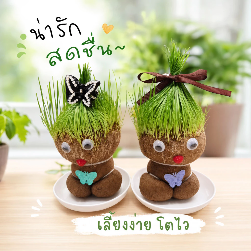 ตุ๊กตาหัวหญ้า หญ้าแมว ตุ๊กตาปลูกหญ้า diy ของขวัญ แต่งโต๊ะ ปลูกง่าย ตัดแต่งได้ ของเล่นเด็ก