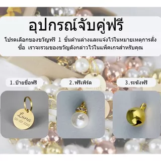 ปลอกคอสุนัขกํามะหยี่สลักชื่อพร้อมแท็กชื่อ ปลอกคอสุนัขและชุดสายจูง