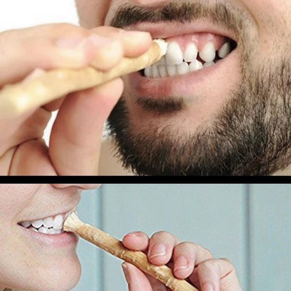 Miswak miswak miswak ฟัน Stick สาขาแปรงสีฟันทําความสะอาดโบราณฟันอาหรับพืช [yzw]