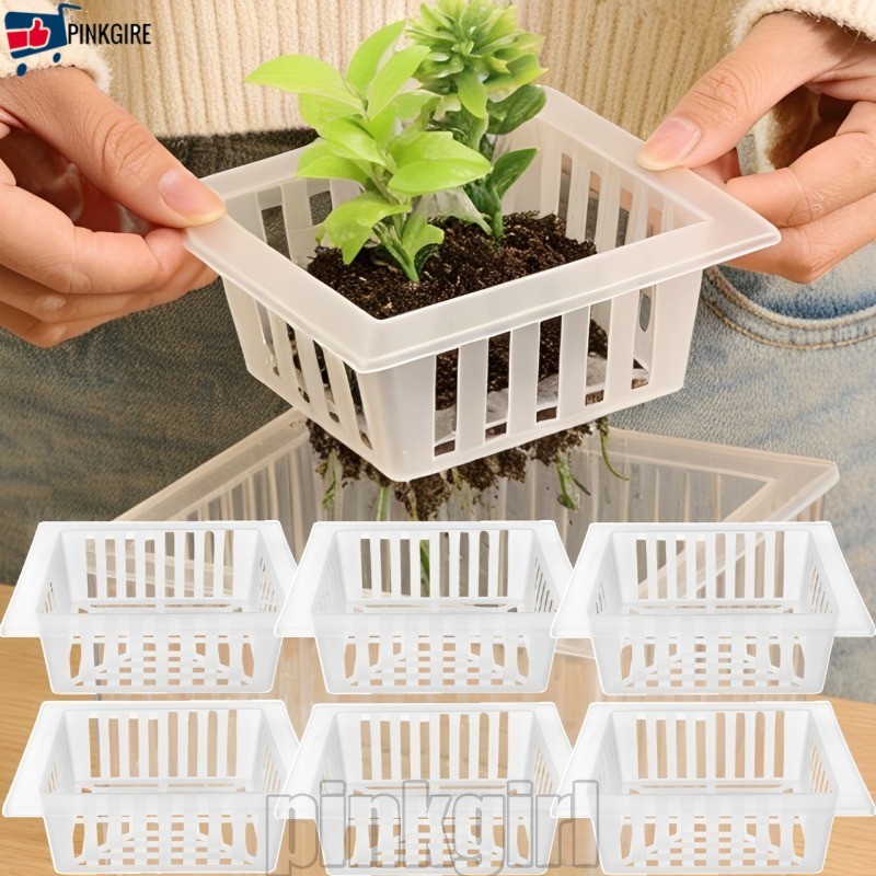 [Rdy Stk] 5-2 ชิ้น Square Plant Nursery Pot - Hydroponic Root Fixator - ทิวลิปหลอดไฟตะกร้าปลูก - ถาด