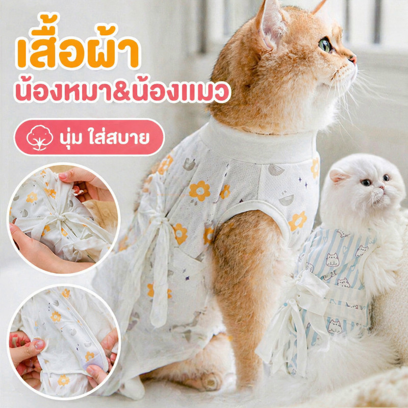 พร้อมส่ง เสื้อทำหมัน ชุดหลังผ่าตัดสุนัขและแมว/ชุดทำหมัน ชุดหลังผ่าตัด เสื้อกันเลีย ผ้าตาข่าย ป้องกันไม่ให้หลุด
