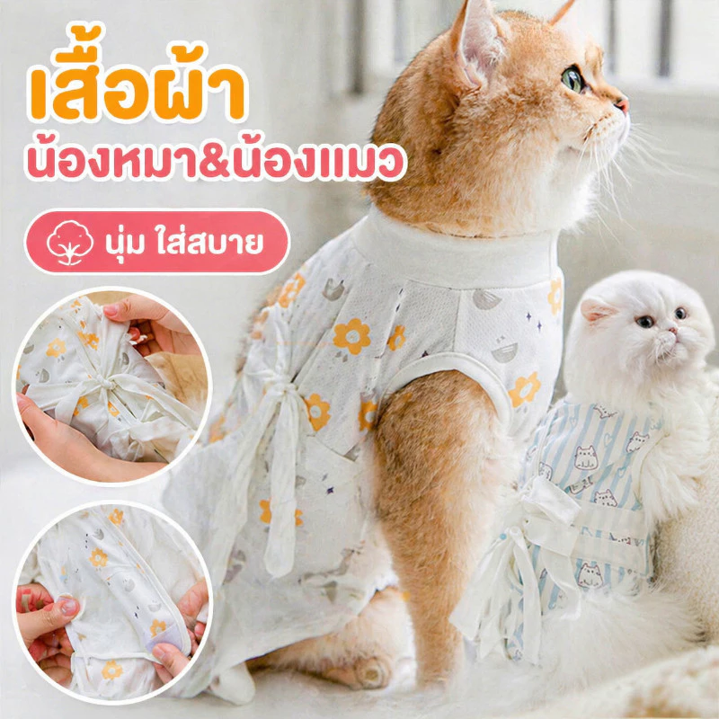 พร้อมส่ง เสื้อทำหมัน ชุดหลังผ่าตัดสุนัขและแมว/ชุดทำหมัน ชุดหลังผ่าตัด เสื้อกันเลีย ผ้าตาข่าย ป้องกันไม่ให้หลุด