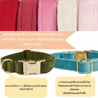 ปลอกคอสุนัขกํามะหยี่สลักชื่อพร้อมแท็กชื่อ ปลอกคอสุนัขและชุดสายจูง