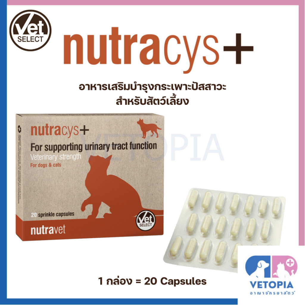 Nutracys+ อาหารเสริมบำรุงระบบทางเดินปัสสาวะ สำหรับสัตว์เลี้ยง <20 แคปซูล> <exp 05/28>