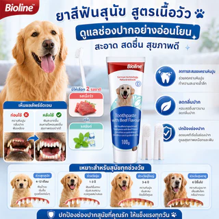 ชุดแปรงฟันสัตว์เลี้ยง แปรงฟันหมา แปรงฟันแมว แปรงสีฟัน+ยาสีฟัน สามารถกลืนกินได้ ลดการสะสมของแบคทีเรีย